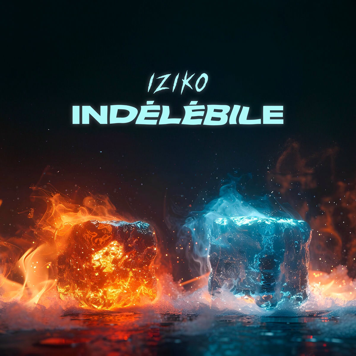 Album cover of Indélébile