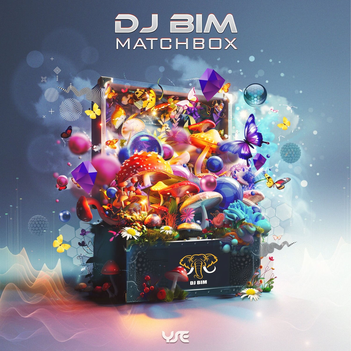 Album cover of DJ Bim - Matchbox