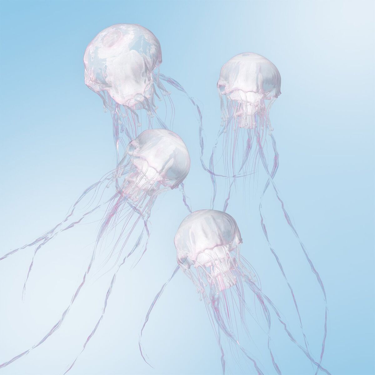 Album cover of LUMINOUS