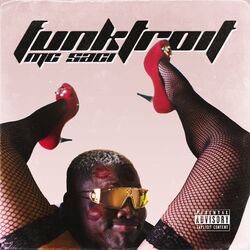 Cover of Funktroit