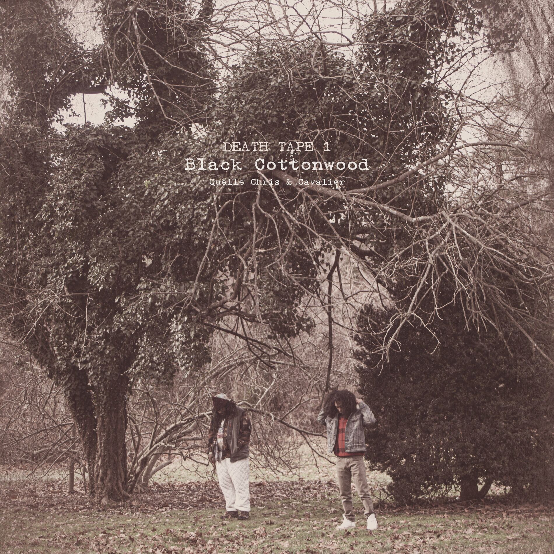 Album cover of Black Cottonwood