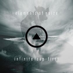 Cover of Infinite Leap (First)