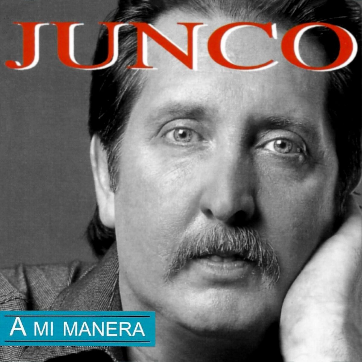 Album cover of A Mi Manera