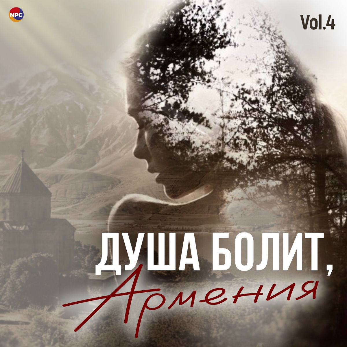 Album cover of Душа болит, Армения, Vol. 4
