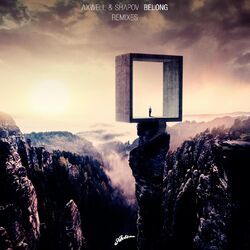 Cover of Belong (Remixes)