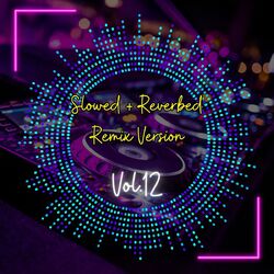 Slowed + Reverbed Remix Version, Vol. 12
