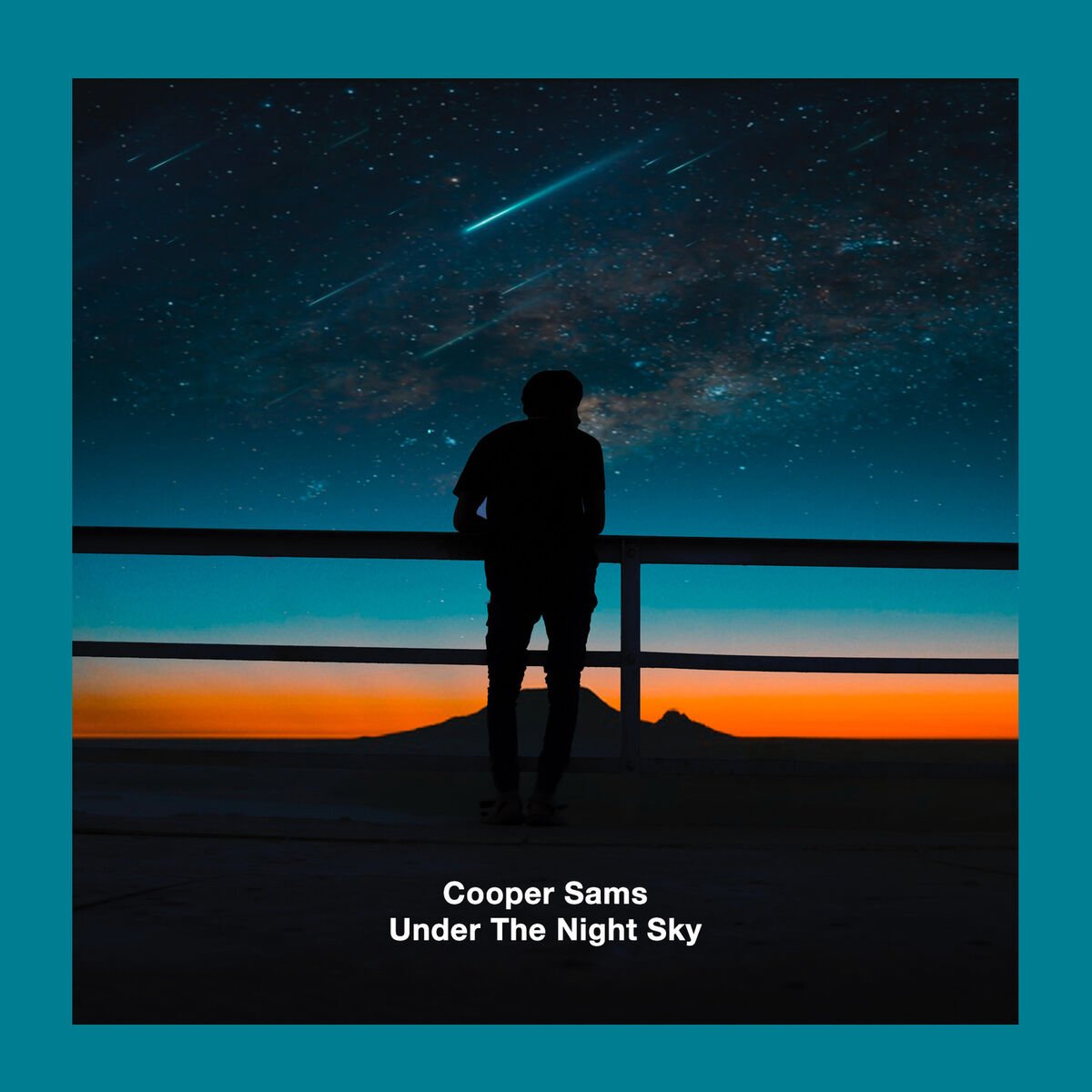 Album cover of Under the Night Sky