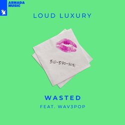 Cover of Wasted