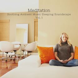 Cover of Meditation: Soothing Ambient Music Sleeping Soundscape Vol. 1
