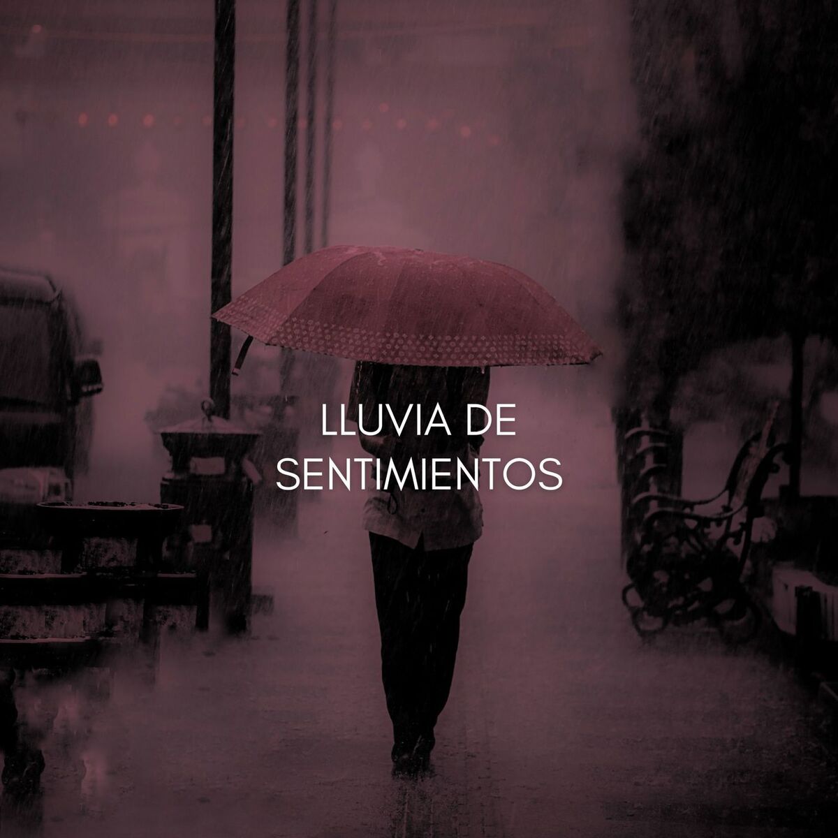 Album cover of Lluvia de Sentimientos