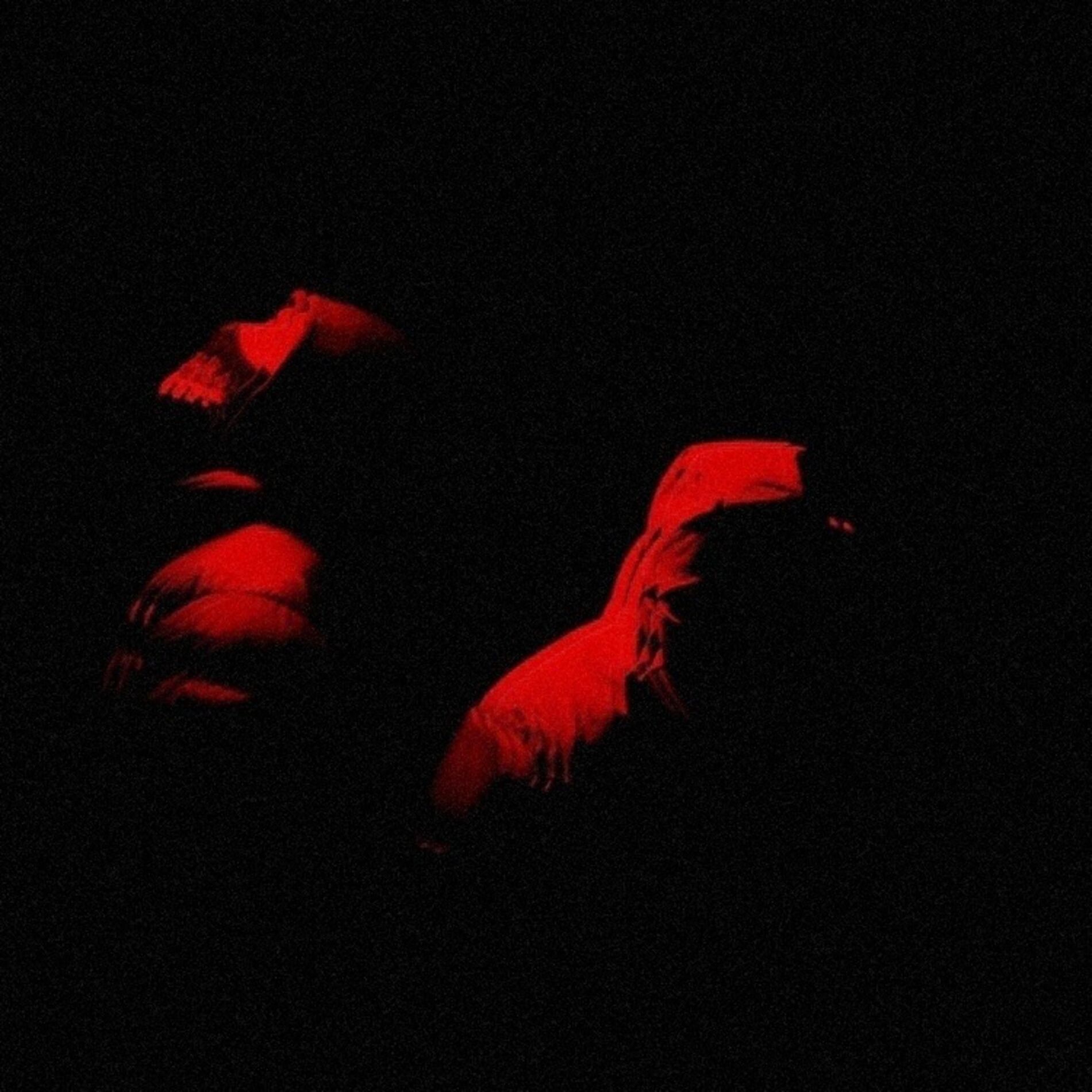 Album cover of TERRAIN VAGUE