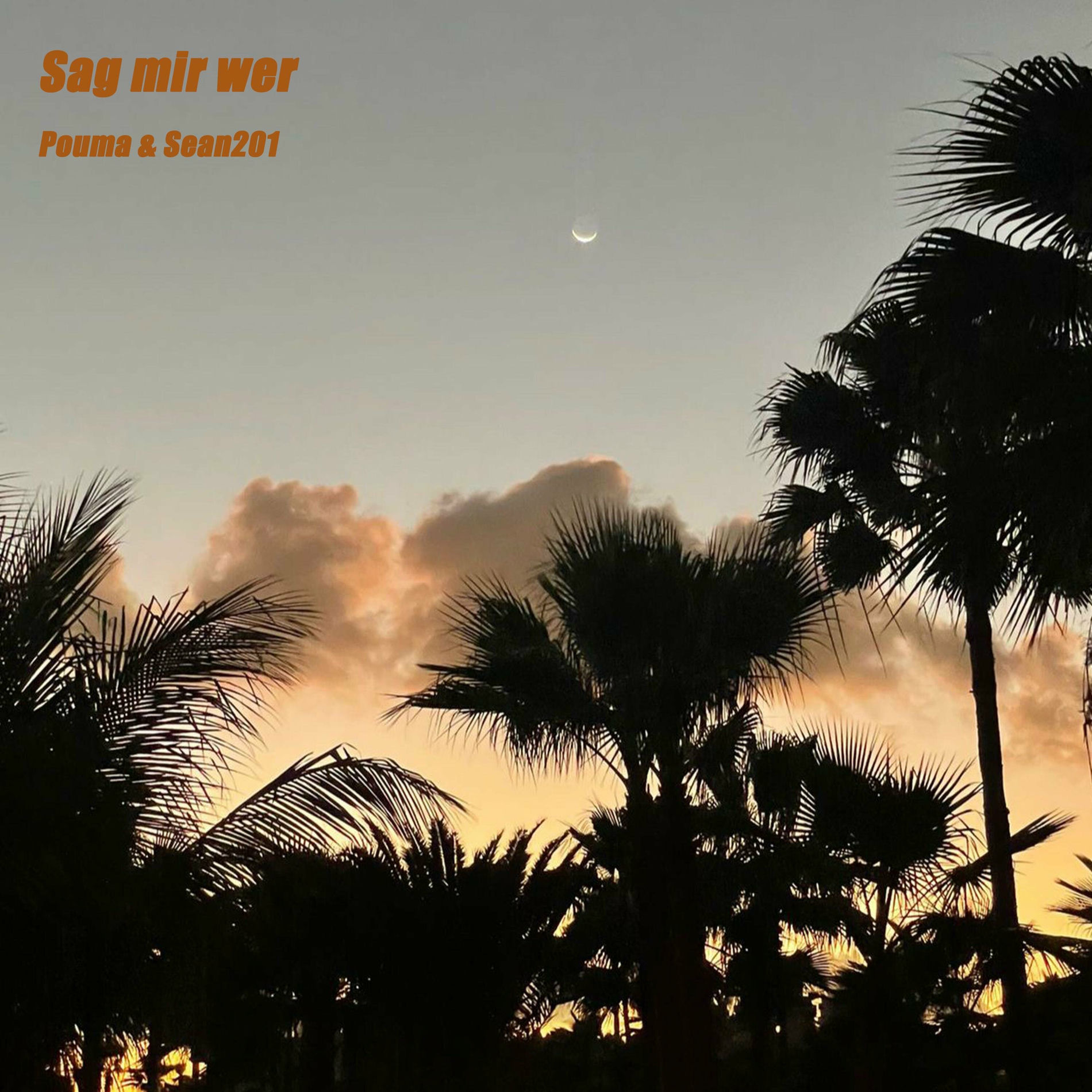 Album cover of Sag mir wer