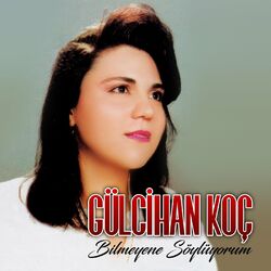 Cover of Bilmeyene Söylüyorum