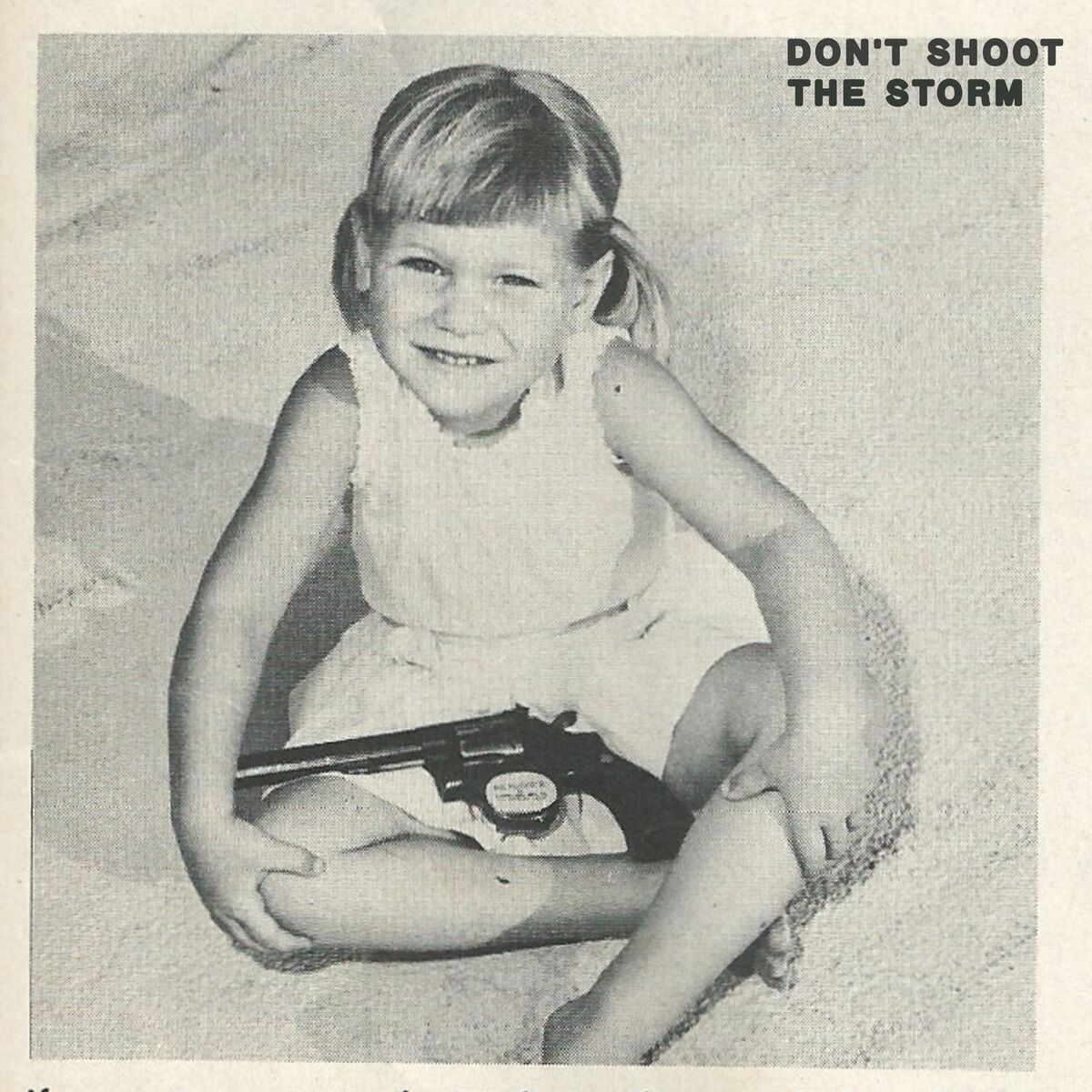Album cover of Don't Shoot The Storm