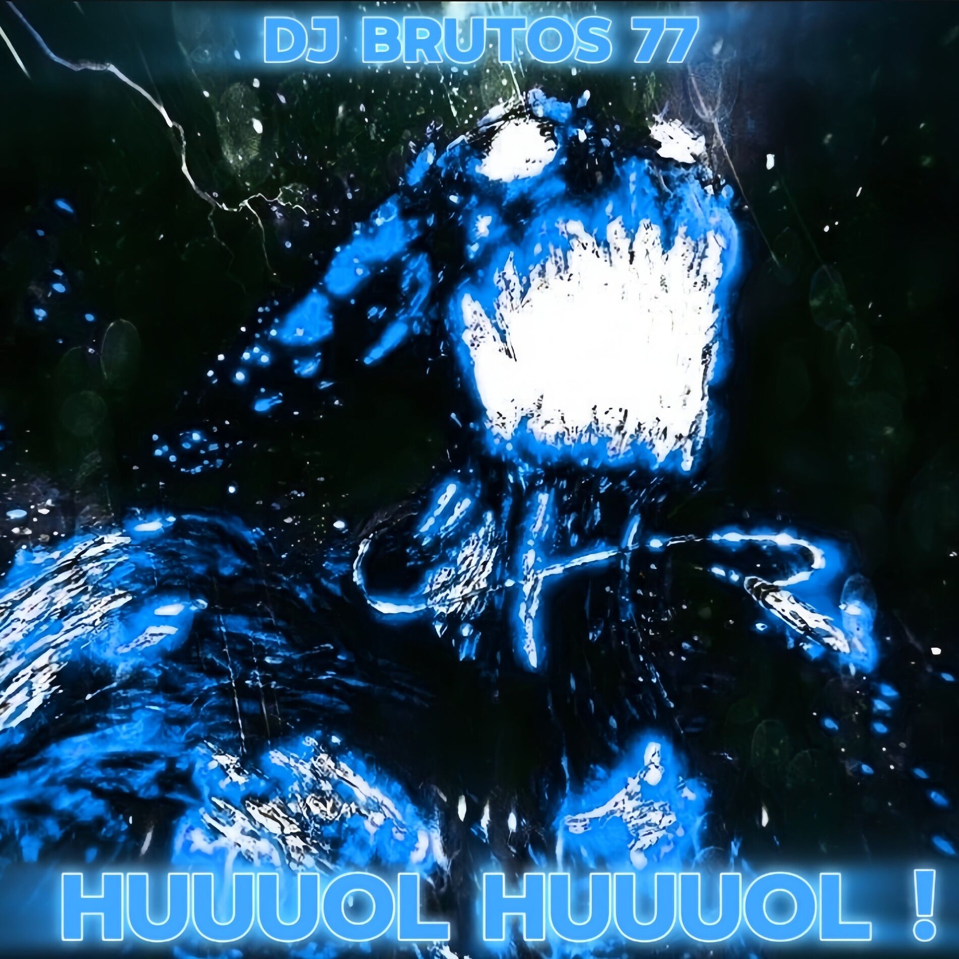 Album cover of Huuuol Huuuol ! (Funk)