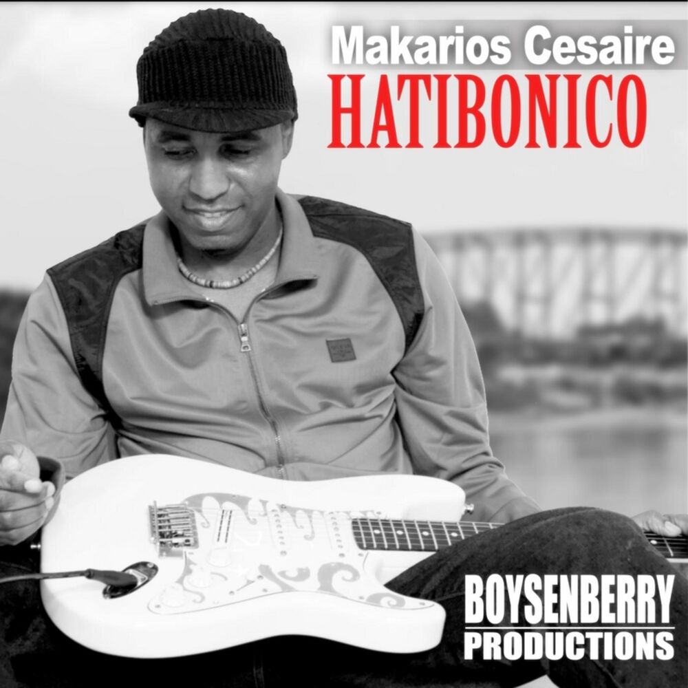 Picture of Hatibonico