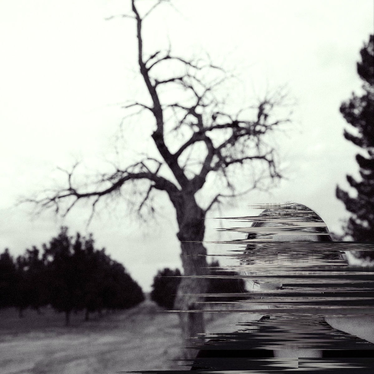 Album cover of Broken Harvest