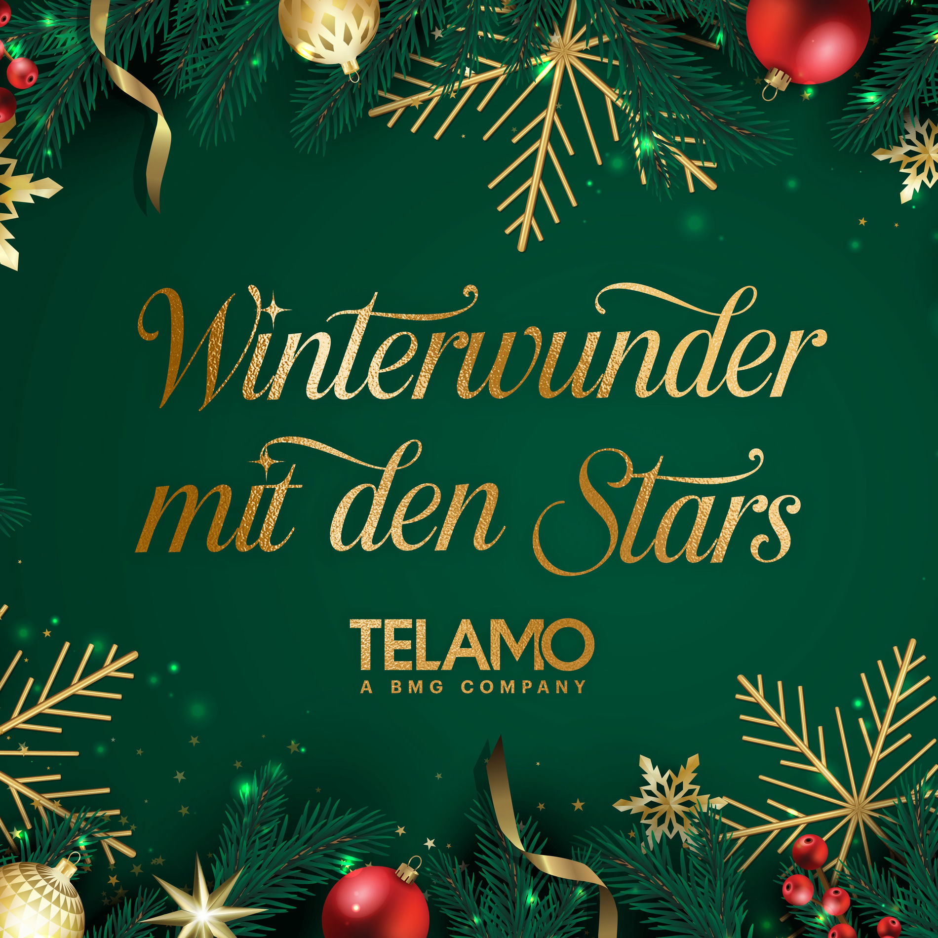 Album cover of Winterwunder mit den Stars
