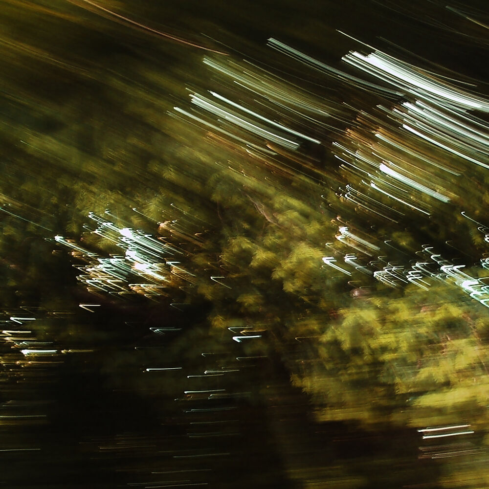 Picture of Between Two Thoughts