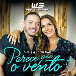 Cover of Parece Que o Vento