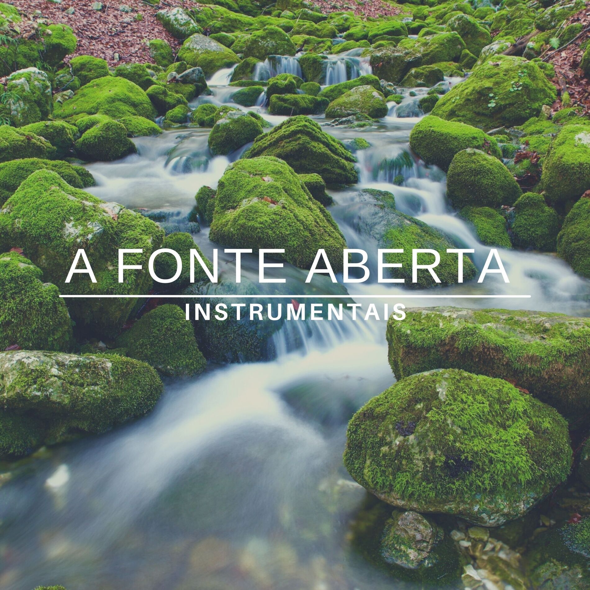 Album cover of A Fonte Aberta