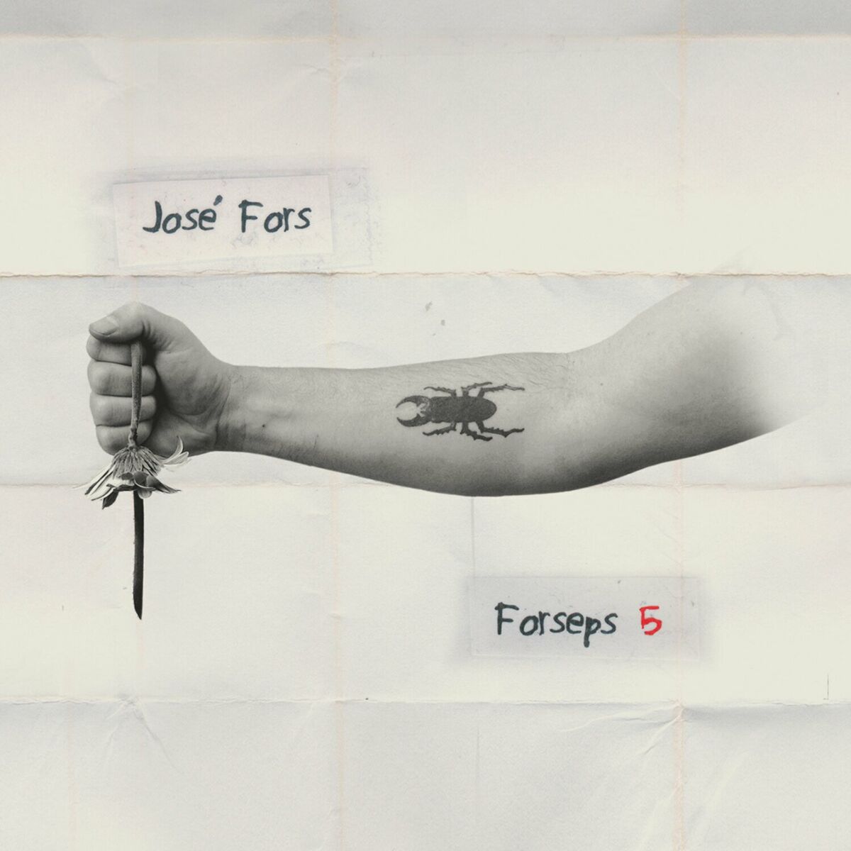 Album cover of Forseps 5