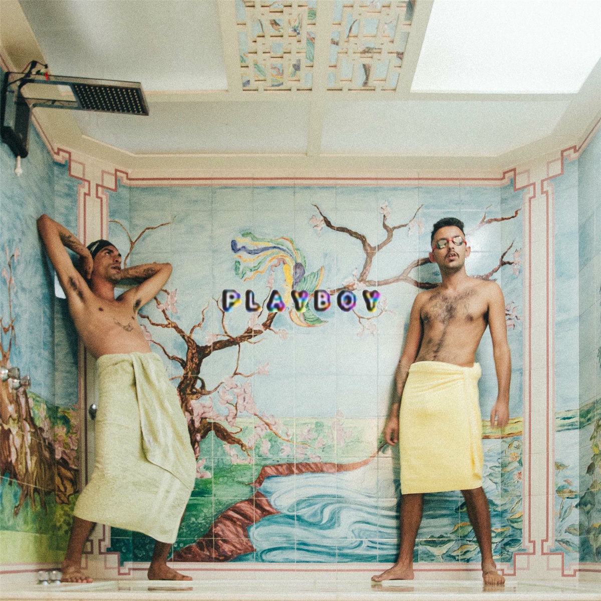 Album cover of Playboy