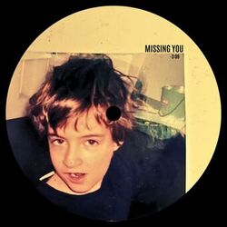 Cover of Missing You