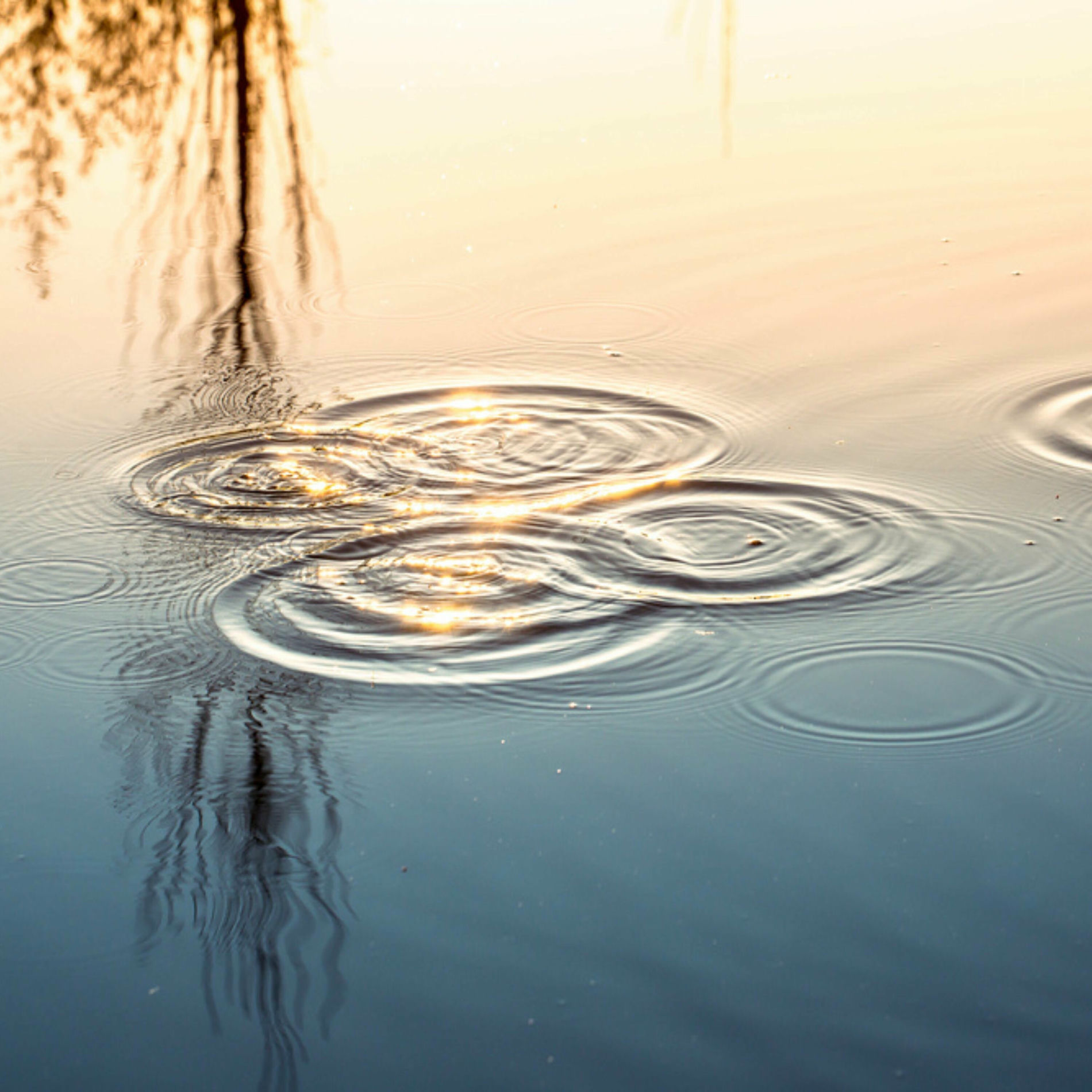 Album cover of Quietud Serena