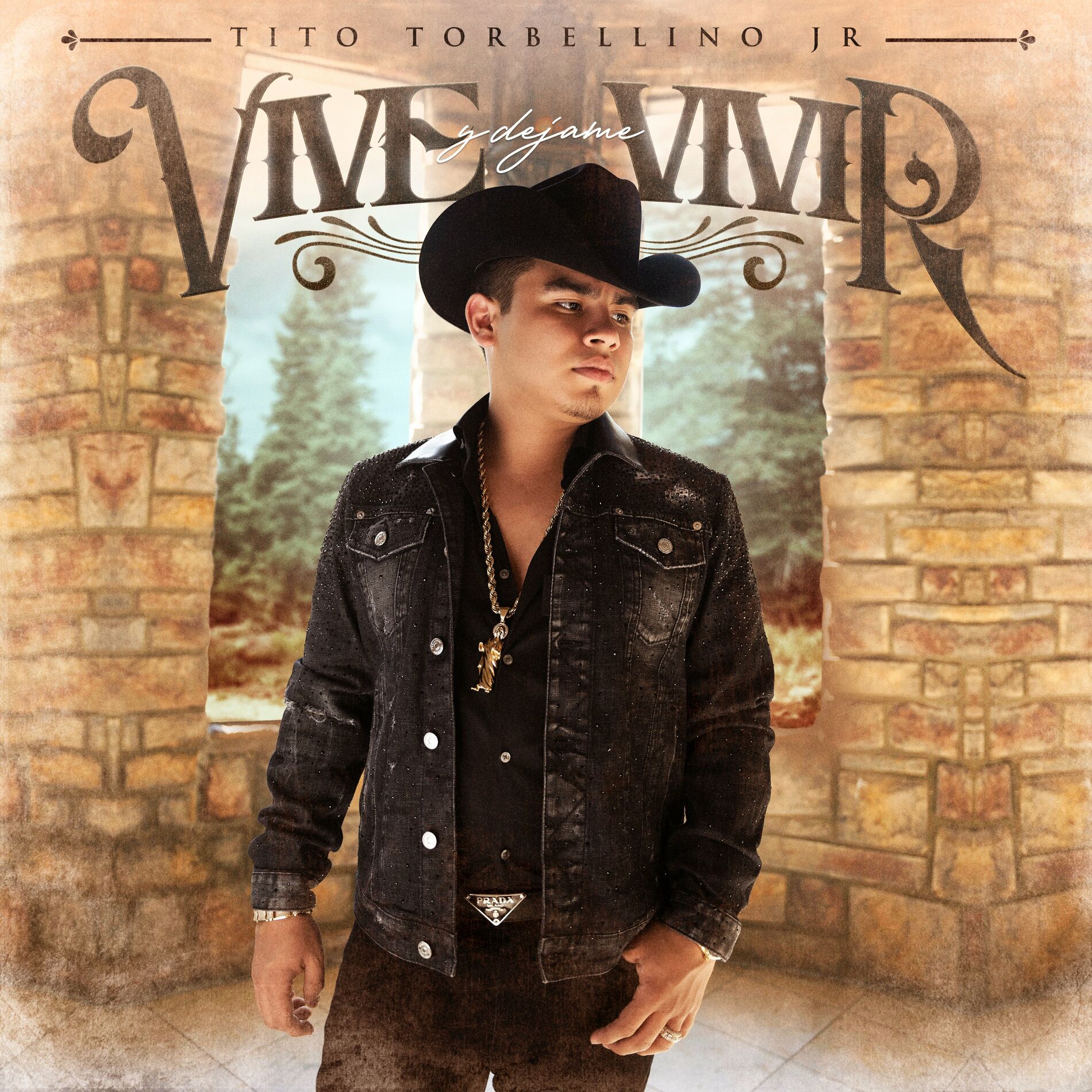 Album cover of Vive Y Dejame Vivir