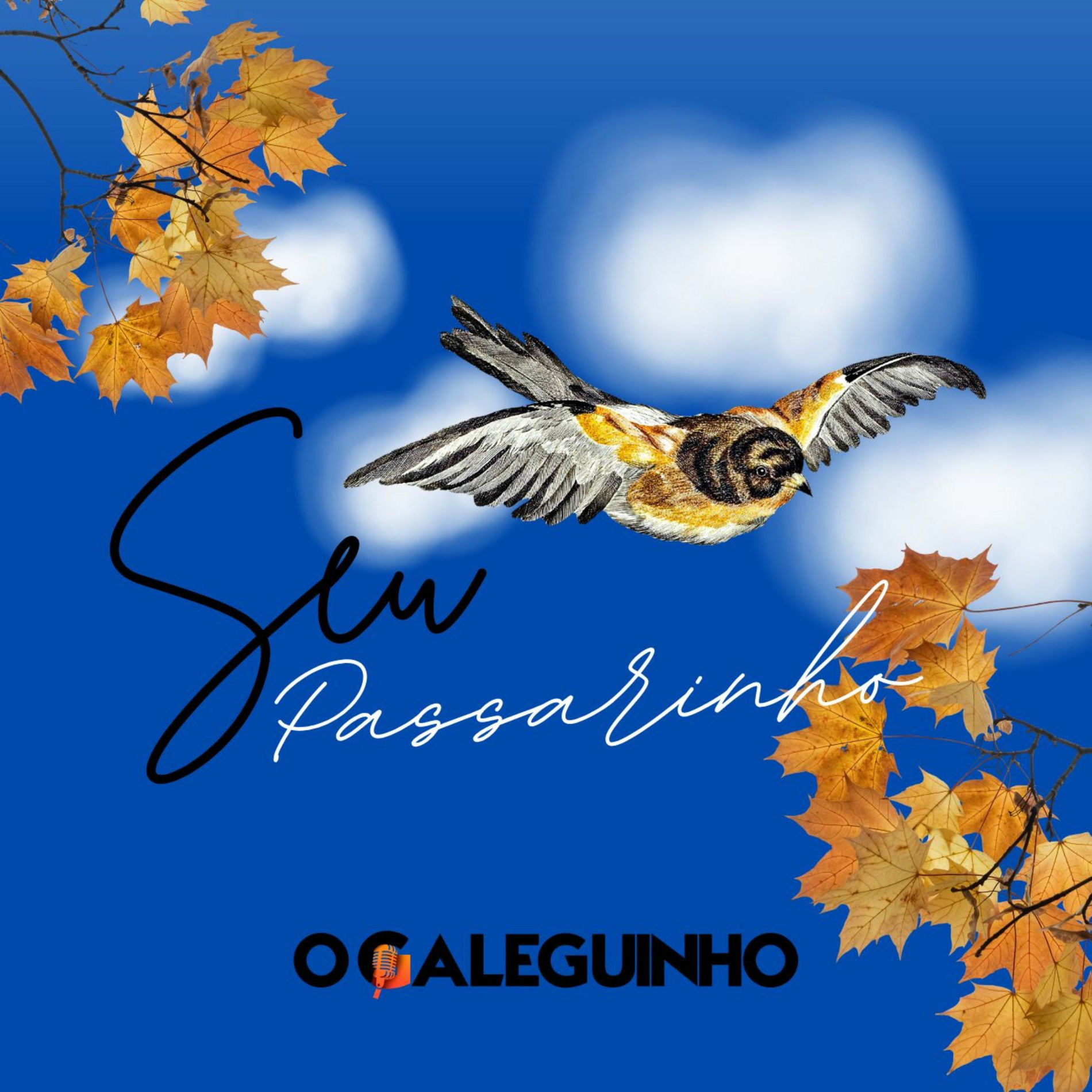 Album cover of Seu Passarinho