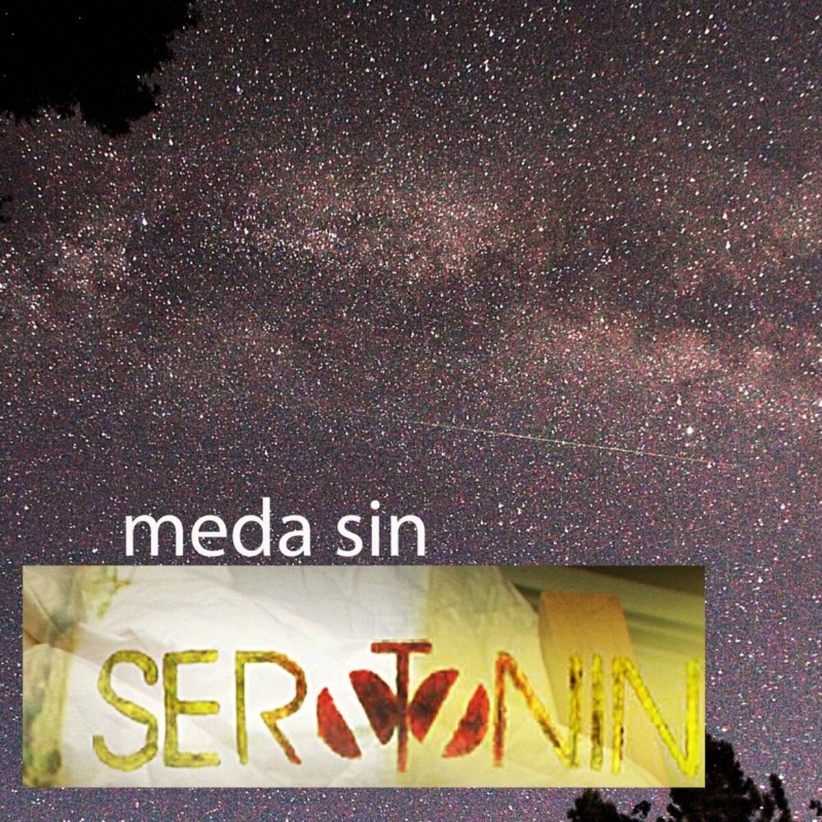 Album cover of Meda Sin