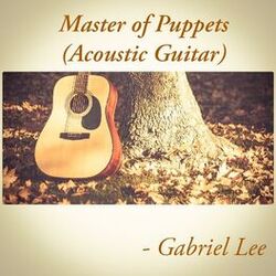 Cover of Master of Puppets (Acoustic Guitar)