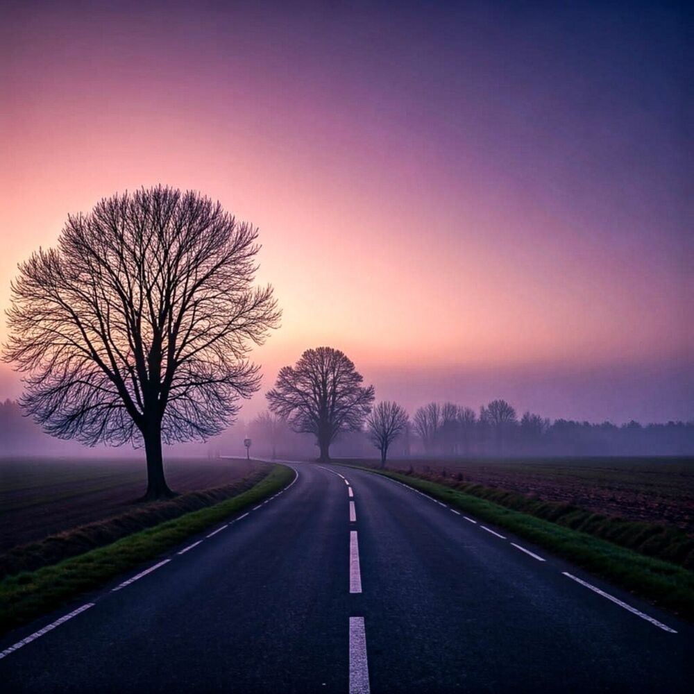 Picture of Insomnia