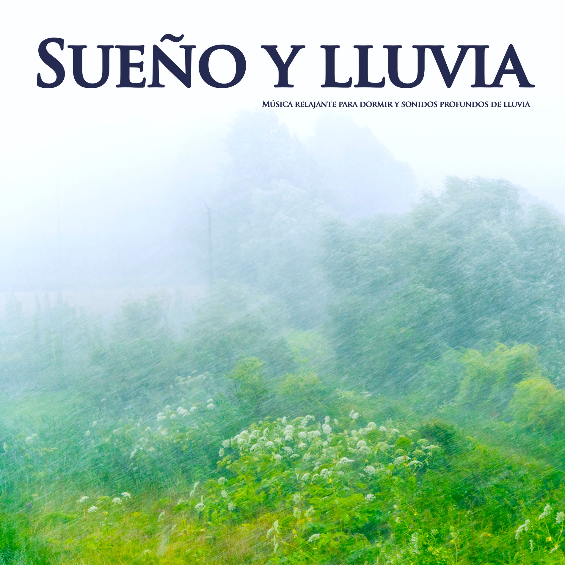 Album cover of Música instrumental
