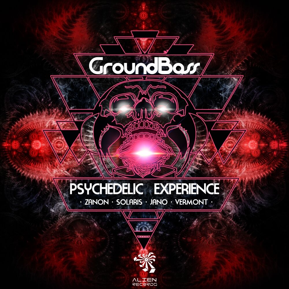 Picture of Psychedelic Experience