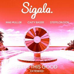 Cover of Feels This Good (feat. Stefflon Don) (Extended)