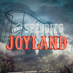 Cover of Joyland