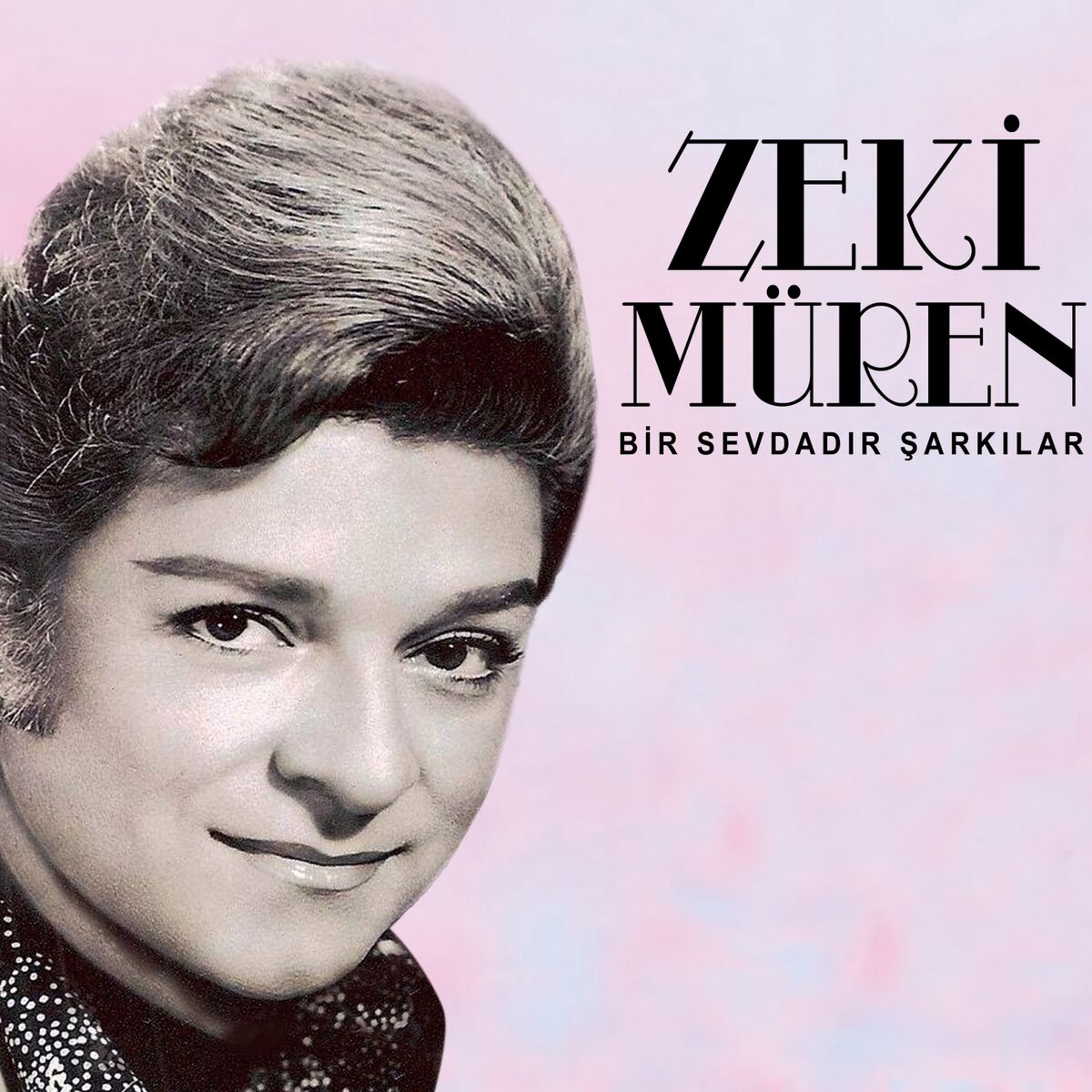 Album cover of Bir Sevdadır Şarkılar