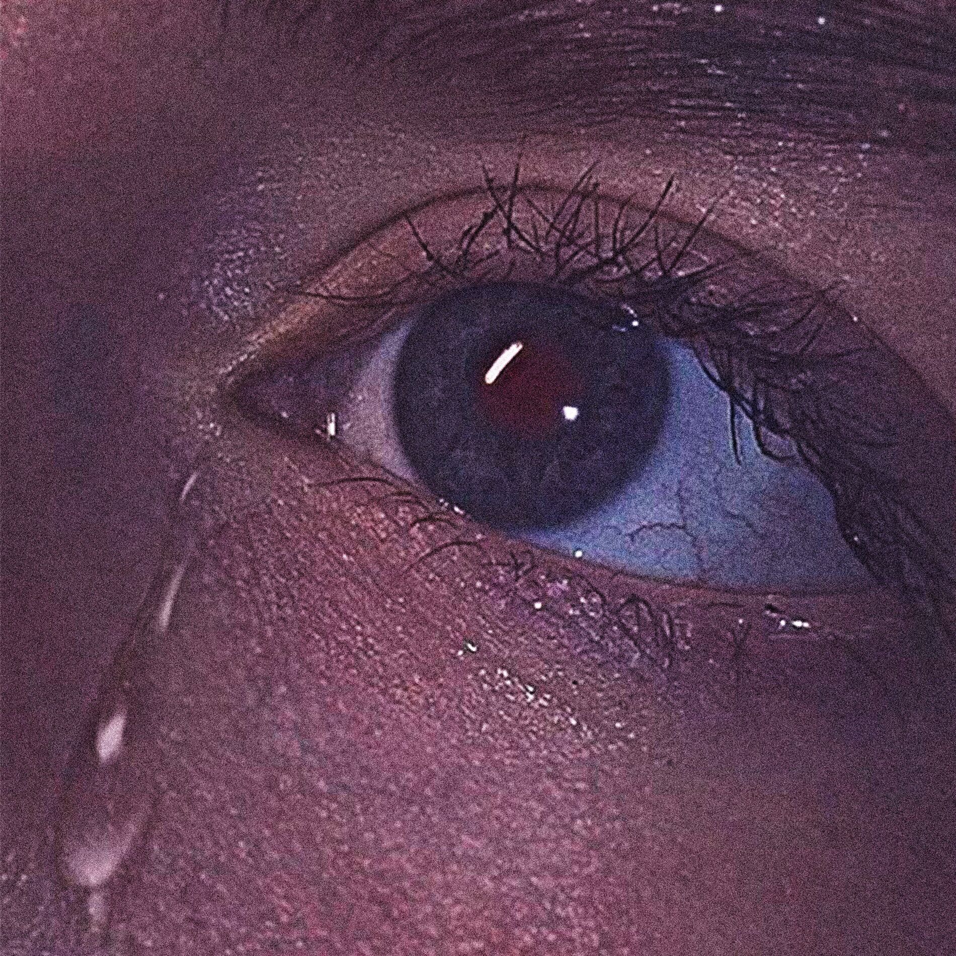 Album cover of cry