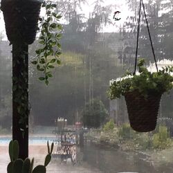 Cover of Raining Down