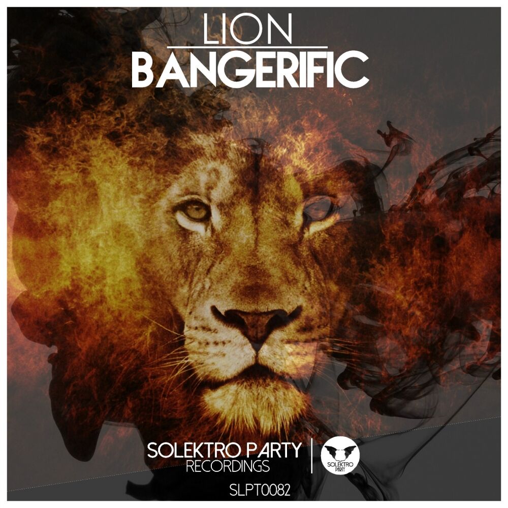 Picture of Lion