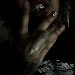 Cover of Selfie