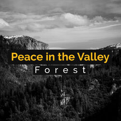 Cover of Peace in the Valley