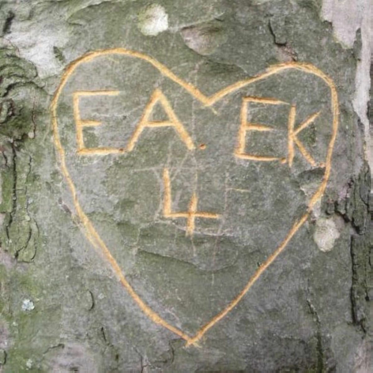 Album cover of Emily Kane