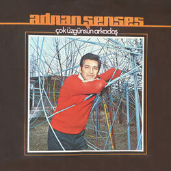 Cover of Çok Üzgünsün Arkadaş