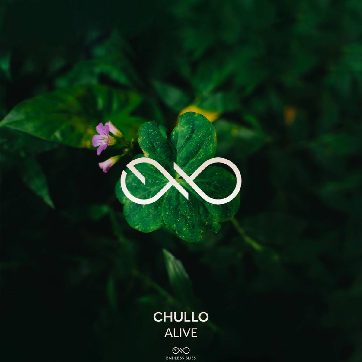 Album cover of Alive