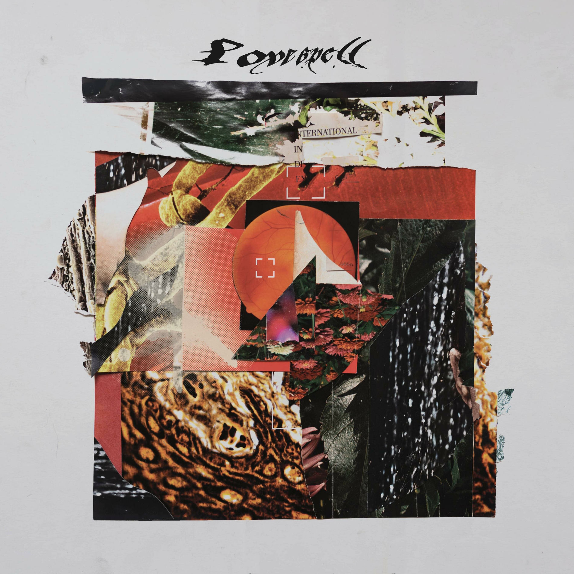 Album cover of Love Spell