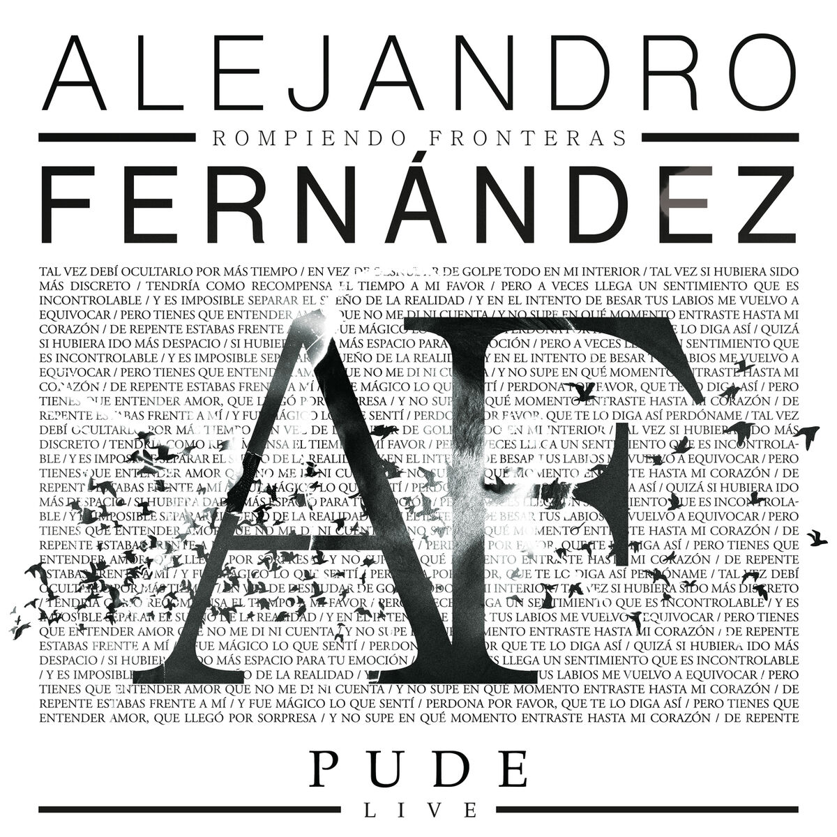 Album cover of Pude