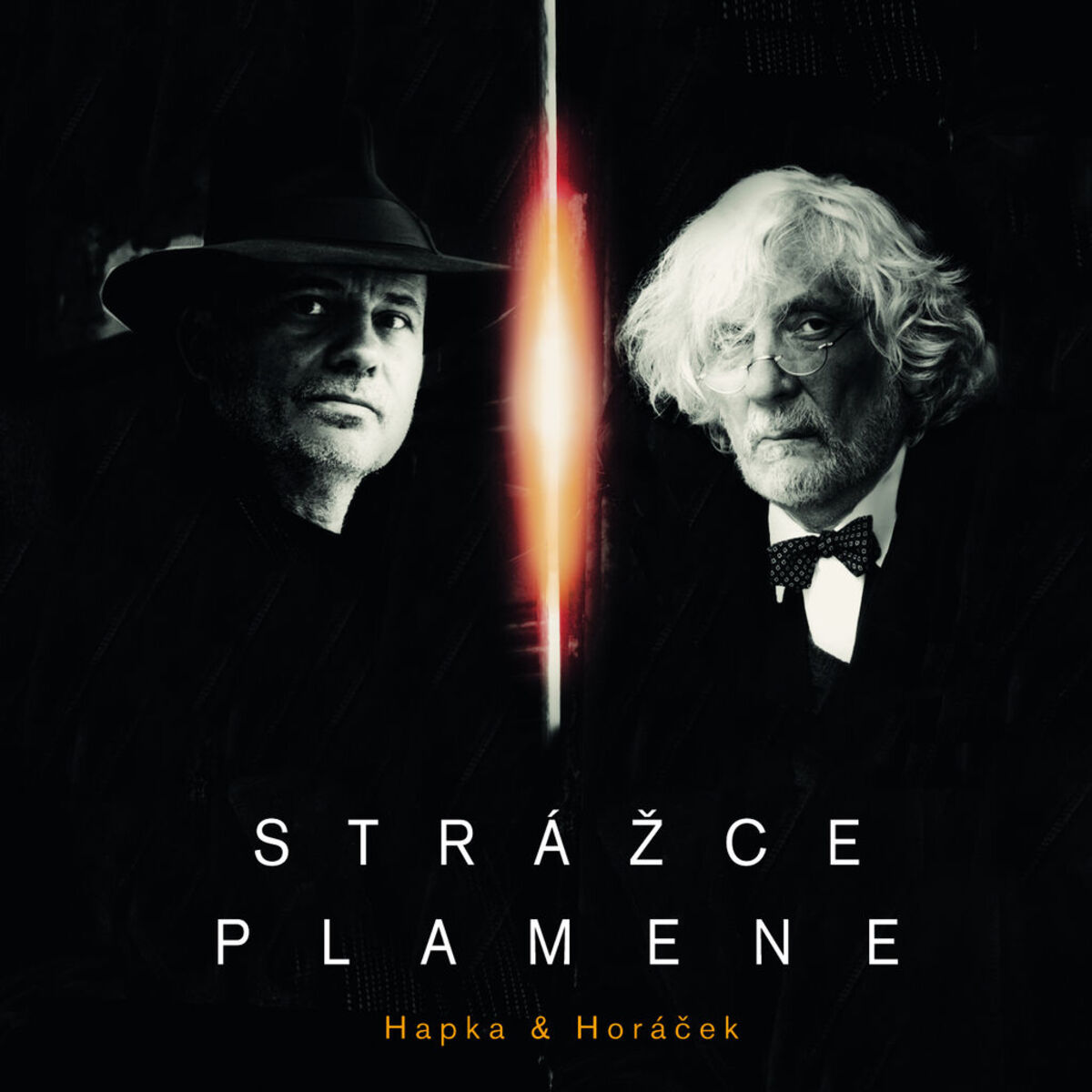 Album cover of Strazce plamene